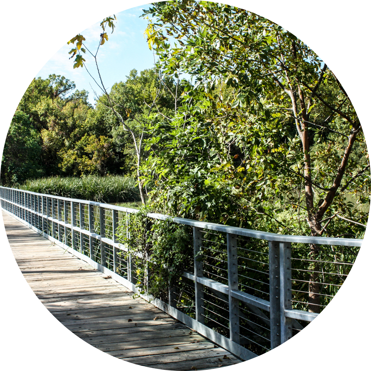 Commercial Bridge deck